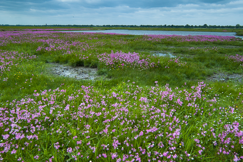 Eempolder